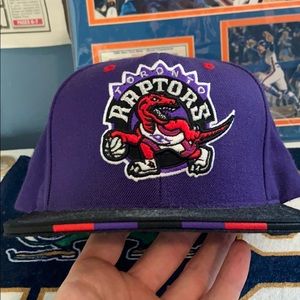 Toronto Raptors SnapBack. Mitchell & Ness